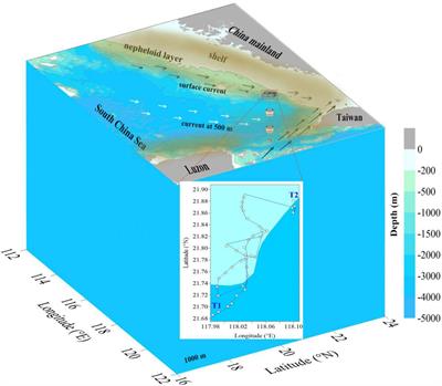 Lagrangian Observation of 234Th and Its Application in Constraining the Sinking of Particulate Organic Carbon on the Slope of the Northeastern South China Sea